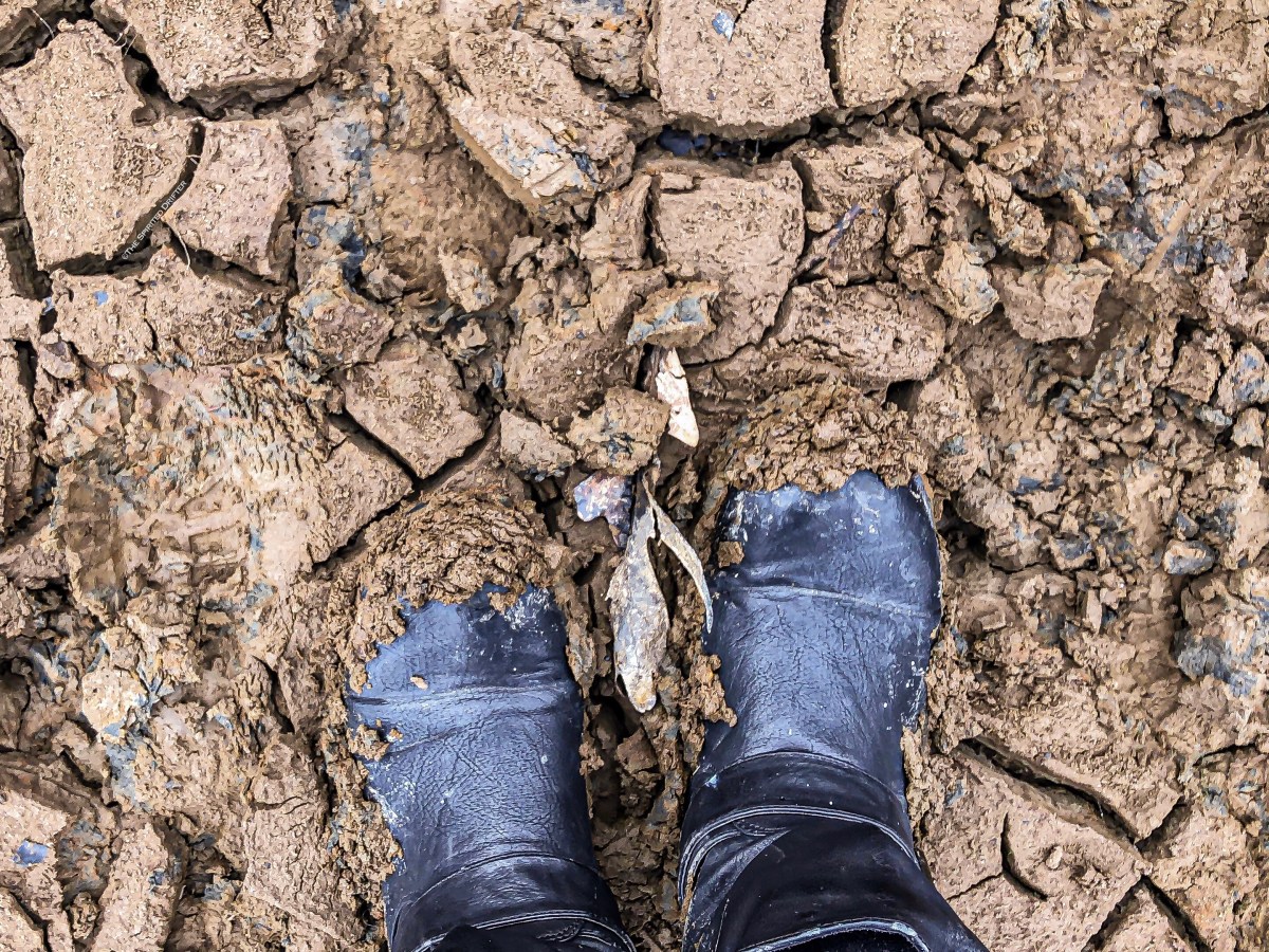 Lake Wedington in Fayetteville, Arkansas,&nbsp;US